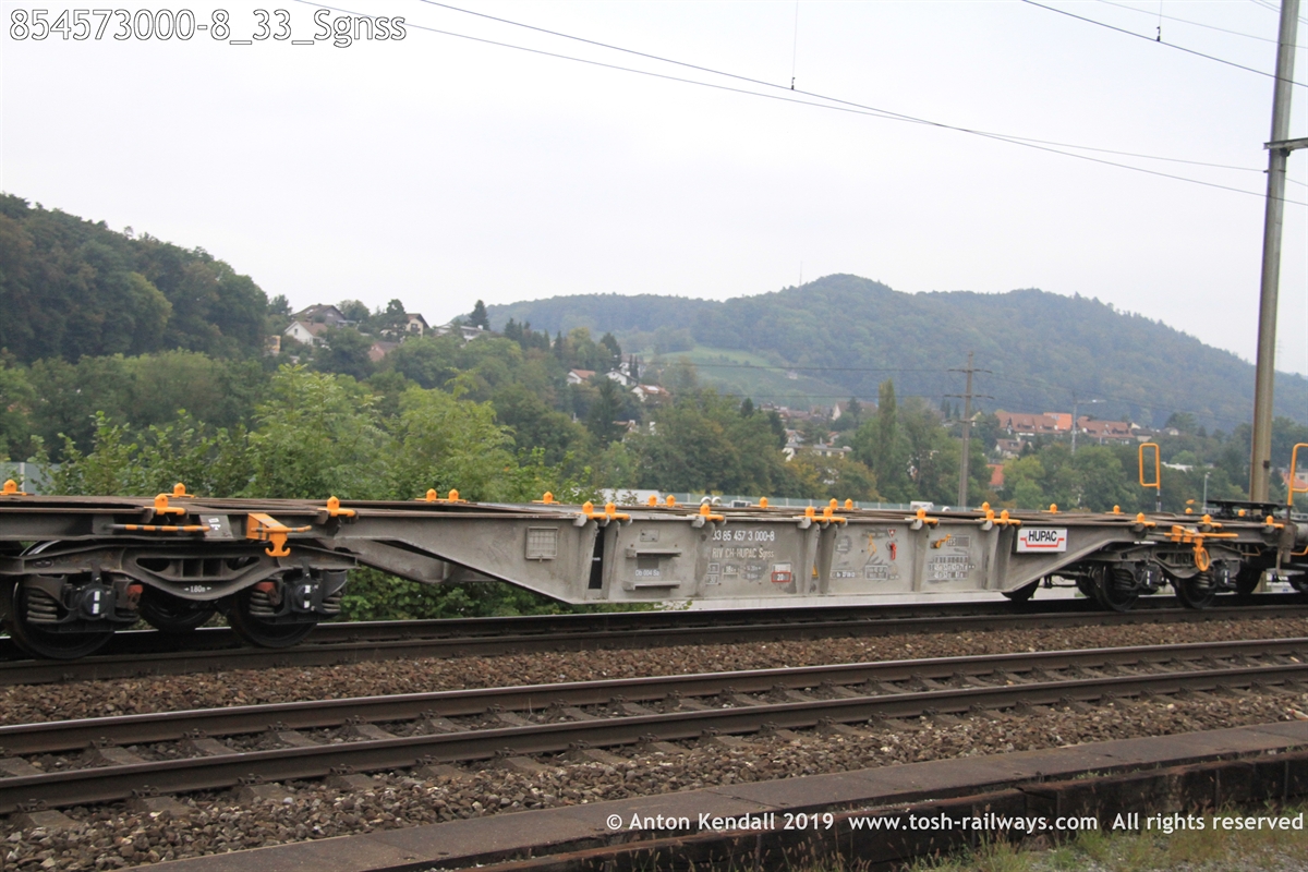 854573000-8_33_Sgnss.JPG